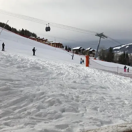 Chalet De Montalbert 25C 4-6 Pers Ski In Ski Out *
